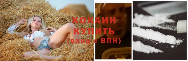 прущие грибы Лихославль