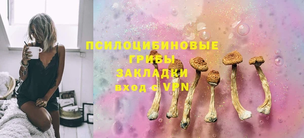 прущие грибы Лихославль