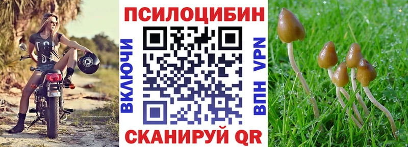 Псилоцибиновые грибы Psilocybine cubensis  Купить  Десногорск 